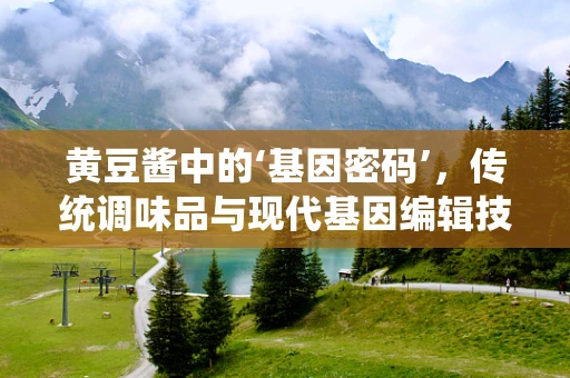 黄豆酱中的‘基因密码’，传统调味品与现代基因编辑技术的奇妙碰撞