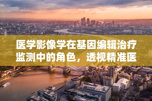 医学影像学在基因编辑治疗监测中的角色，透视精准医疗的未来？
