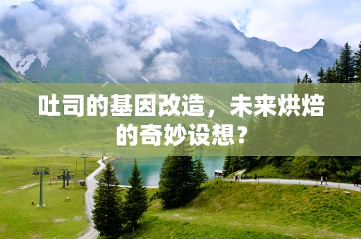 吐司的基因改造，未来烘焙的奇妙设想？