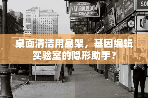 桌面清洁用品架，基因编辑实验室的隐形助手？