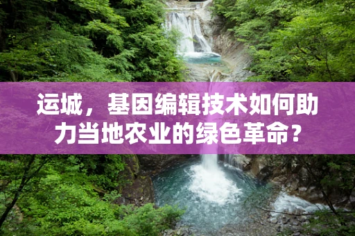 运城，基因编辑技术如何助力当地农业的绿色革命？