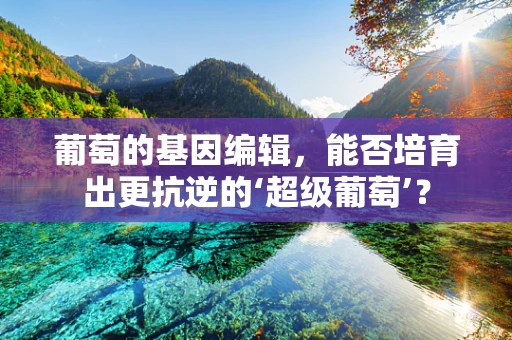葡萄的基因编辑，能否培育出更抗逆的‘超级葡萄’？