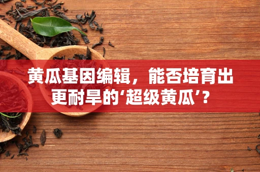 黄瓜基因编辑，能否培育出更耐旱的‘超级黄瓜’？
