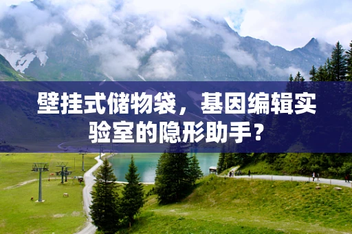壁挂式储物袋，基因编辑实验室的隐形助手？