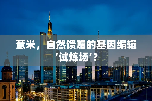 薏米，自然馈赠的基因编辑‘试炼场’？