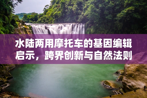 水陆两用摩托车的基因编辑启示，跨界创新与自然法则的平衡