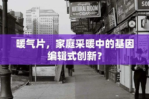 暖气片，家庭采暖中的基因编辑式创新？