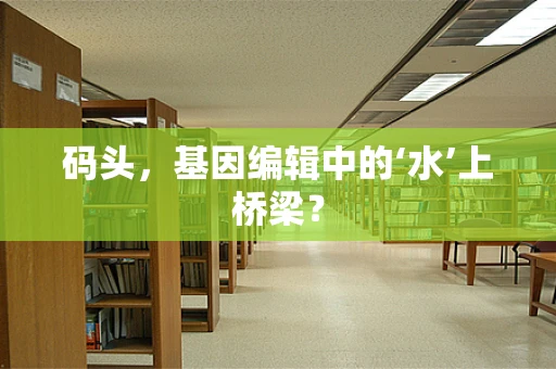 码头，基因编辑中的‘水’上桥梁？