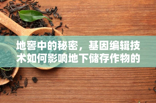 地窖中的秘密，基因编辑技术如何影响地下储存作物的遗传多样性？