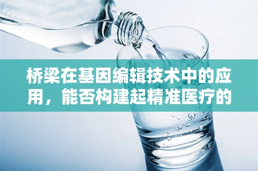 桥梁在基因编辑技术中的应用，能否构建起精准医疗的未来？