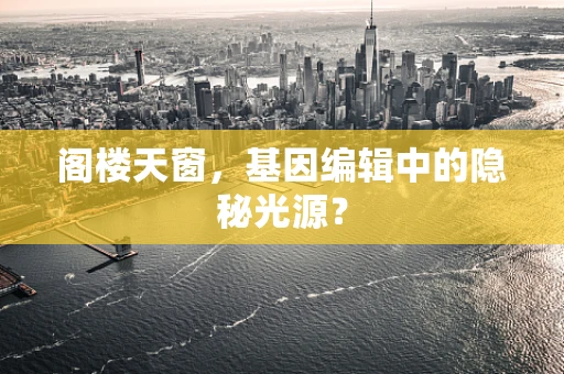 阁楼天窗，基因编辑中的隐秘光源？