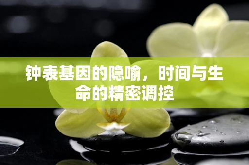 钟表基因的隐喻，时间与生命的精密调控