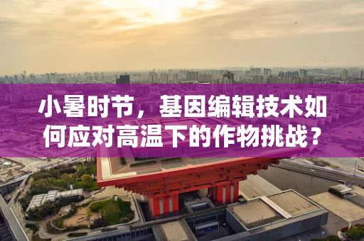 小暑时节，基因编辑技术如何应对高温下的作物挑战？