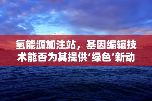 氢能源加注站，基因编辑技术能否为其提供‘绿色’新动力？