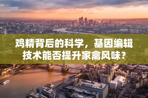 鸡精背后的科学，基因编辑技术能否提升家禽风味？
