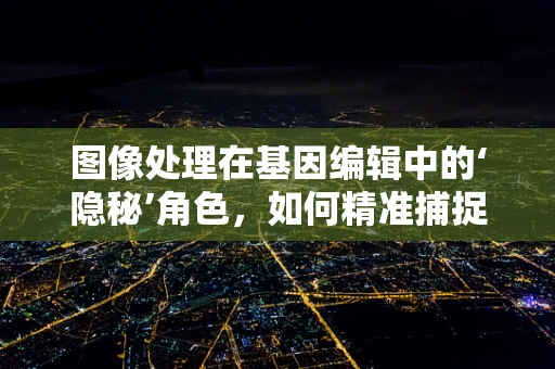 图像处理在基因编辑中的‘隐秘’角色，如何精准捕捉细胞变化？