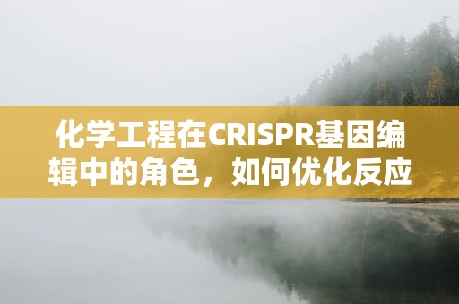 化学工程在CRISPR基因编辑中的角色，如何优化反应条件以提升效率？