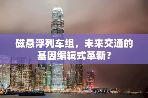 磁悬浮列车组，未来交通的基因编辑式革新？