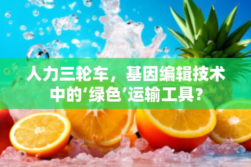 人力三轮车，基因编辑技术中的‘绿色’运输工具？