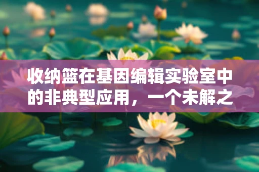 收纳篮在基因编辑实验室中的非典型应用，一个未解之谜？