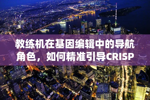 教练机在基因编辑中的导航角色，如何精准引导CRISPR-Cas9系统？