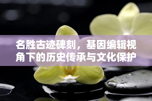 名胜古迹碑刻，基因编辑视角下的历史传承与文化保护