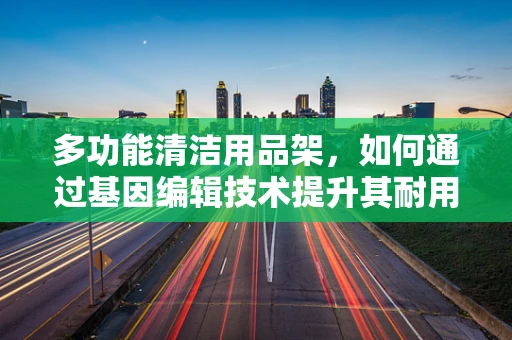 多功能清洁用品架，如何通过基因编辑技术提升其耐用性与环保性？