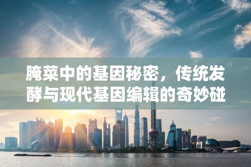 腌菜中的基因秘密，传统发酵与现代基因编辑的奇妙碰撞？