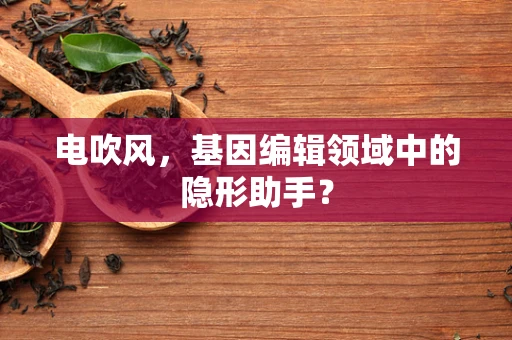 电吹风，基因编辑领域中的隐形助手？