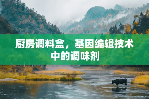 厨房调料盒，基因编辑技术中的调味剂