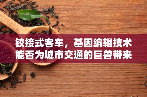 铰接式客车，基因编辑技术能否为城市交通的巨兽带来革新？