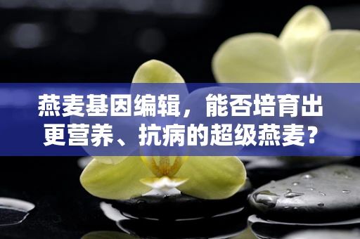 燕麦基因编辑，能否培育出更营养、抗病的超级燕麦？