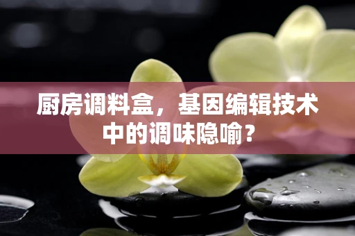 厨房调料盒，基因编辑技术中的调味隐喻？