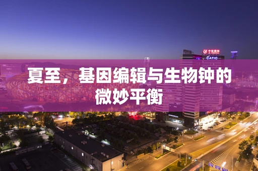 夏至，基因编辑与生物钟的微妙平衡
