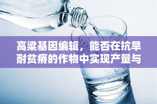 高粱基因编辑，能否在抗旱耐贫瘠的作物中实现产量与品质的双重突破？