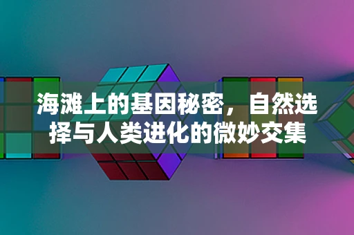 海滩上的基因秘密，自然选择与人类进化的微妙交集