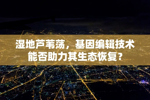 湿地芦苇荡，基因编辑技术能否助力其生态恢复？