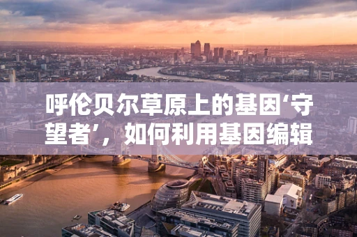 呼伦贝尔草原上的基因‘守望者’，如何利用基因编辑技术保护草原生态？