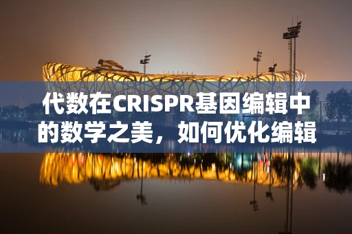 代数在CRISPR基因编辑中的数学之美，如何优化编辑效率的解算？