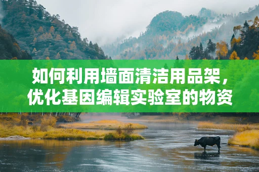 如何利用墙面清洁用品架，优化基因编辑实验室的物资管理？