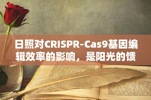 日照对CRISPR-Cas9基因编辑效率的影响，是阳光的馈赠还是暗藏的危机？