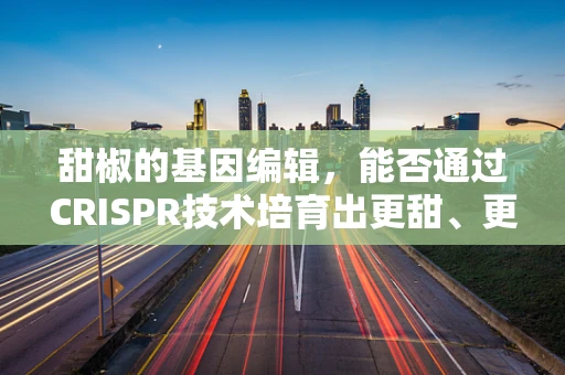 甜椒的基因编辑，能否通过CRISPR技术培育出更甜、更营养的品种？