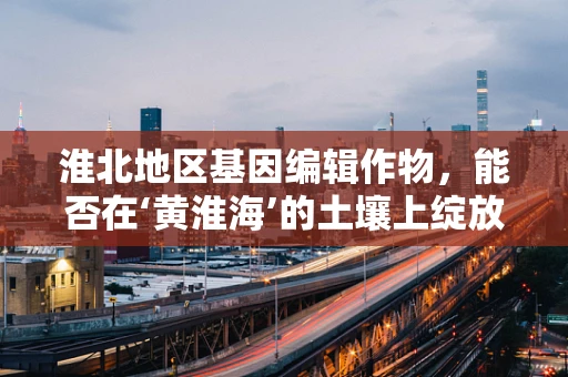 淮北地区基因编辑作物，能否在‘黄淮海’的土壤上绽放科技之花？