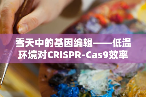 雪天中的基因编辑——低温环境对CRISPR-Cas9效率的影响之谜