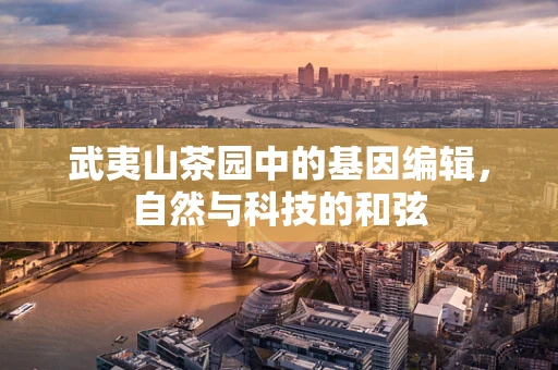 武夷山茶园中的基因编辑，自然与科技的和弦