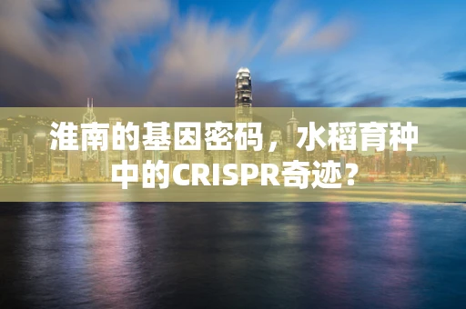 淮南的基因密码，水稻育种中的CRISPR奇迹？
