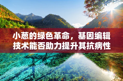小葱的绿色革命，基因编辑技术能否助力提升其抗病性与产量？