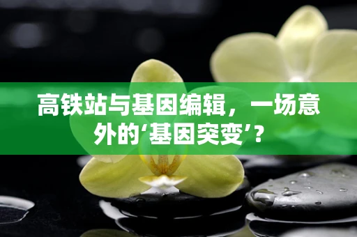 高铁站与基因编辑，一场意外的‘基因突变’？