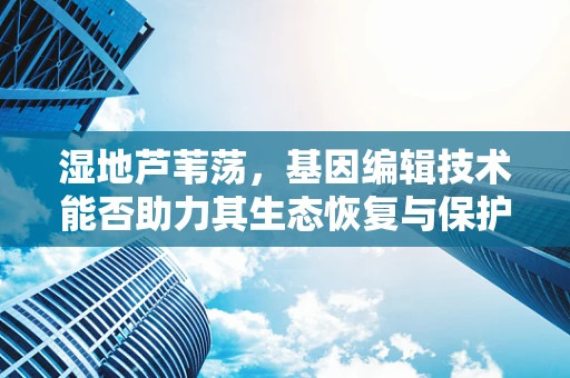 湿地芦苇荡，基因编辑技术能否助力其生态恢复与保护？
