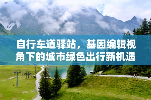 自行车道驿站，基因编辑视角下的城市绿色出行新机遇？
